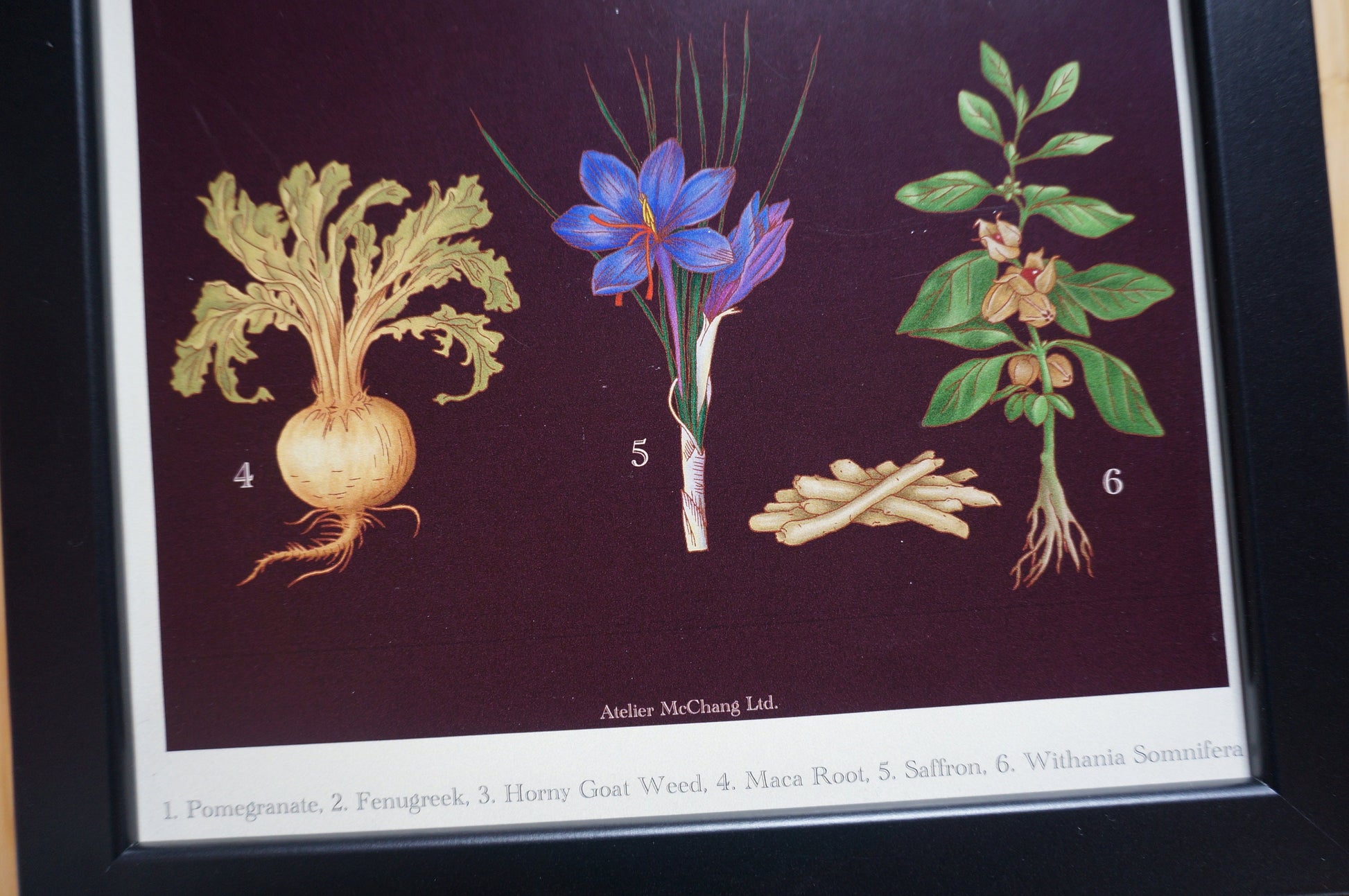 Aphrodisiac Botanical Posters / Plants Poster / Dark Academia Prints / Vintage Style Botanical Prints