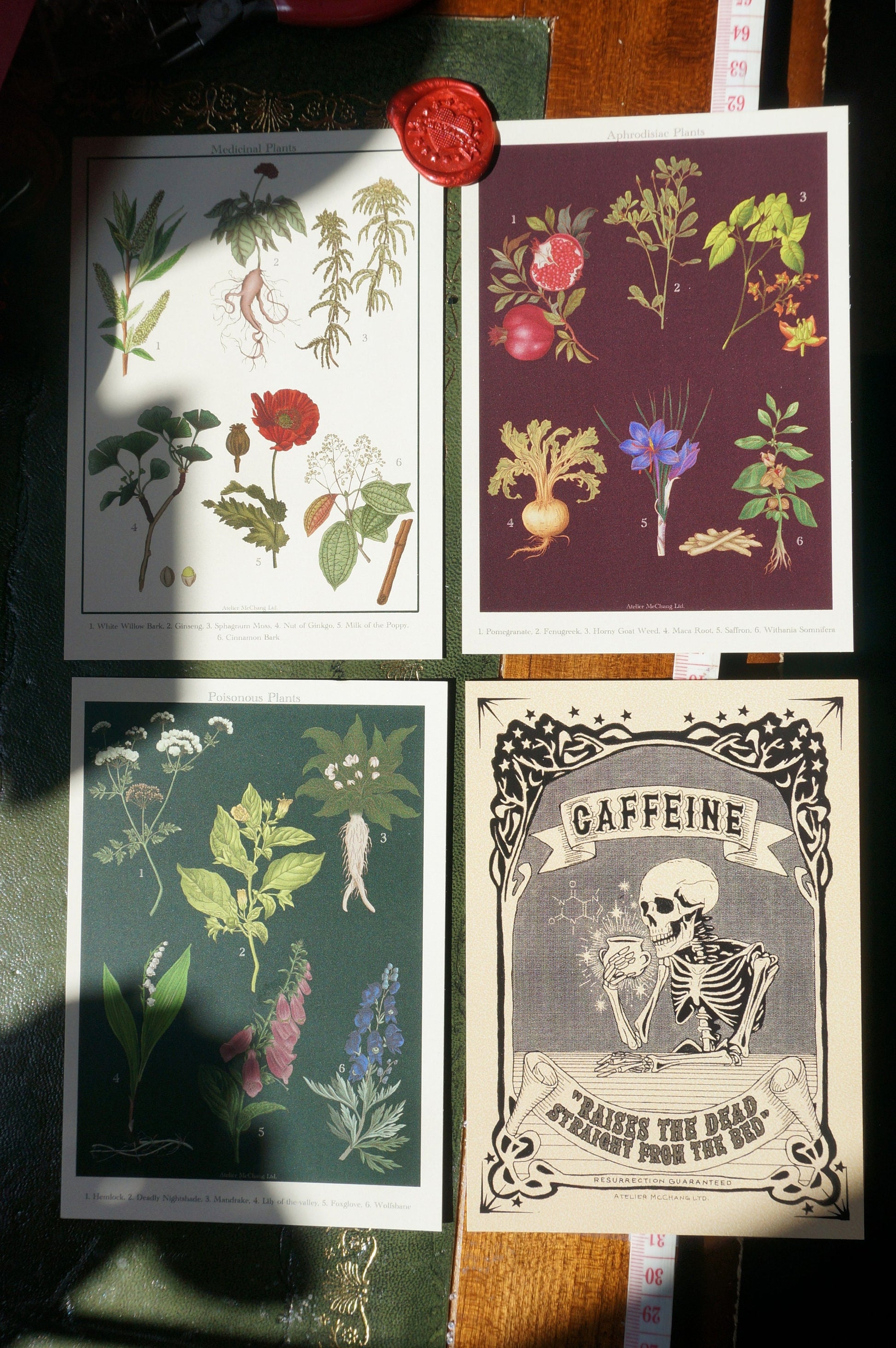 Botanical Postcard / Medicinal Plants Postcard / Poisonous Plants Postcard / Aphrodisiac Postcard / Coffee Postcard / Dark Academia Prints
