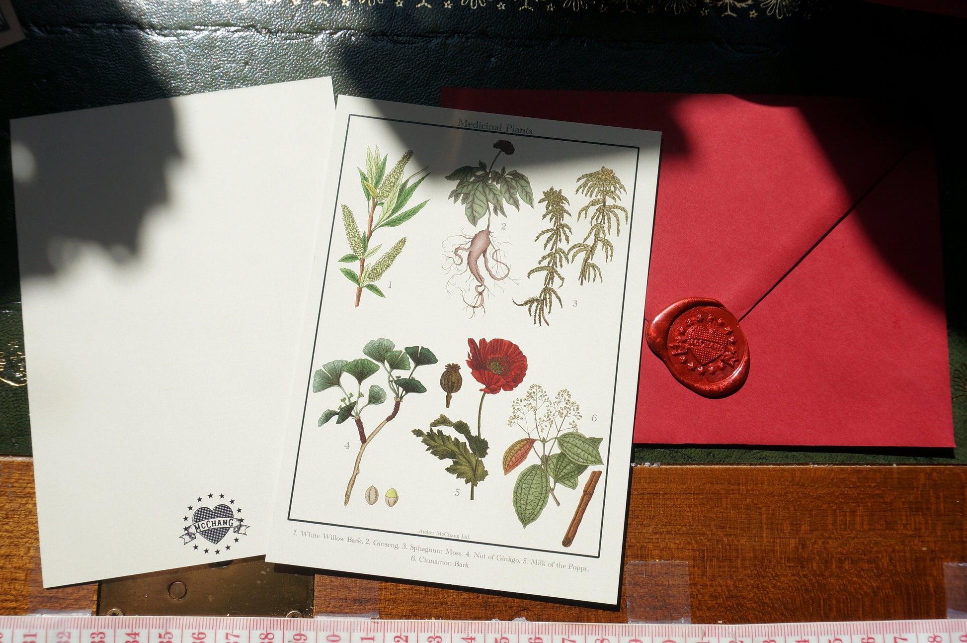 Botanical Postcard / Medicinal Plants Postcard / Poisonous Plants Postcard / Aphrodisiac Postcard / Coffee Postcard / Dark Academia Prints