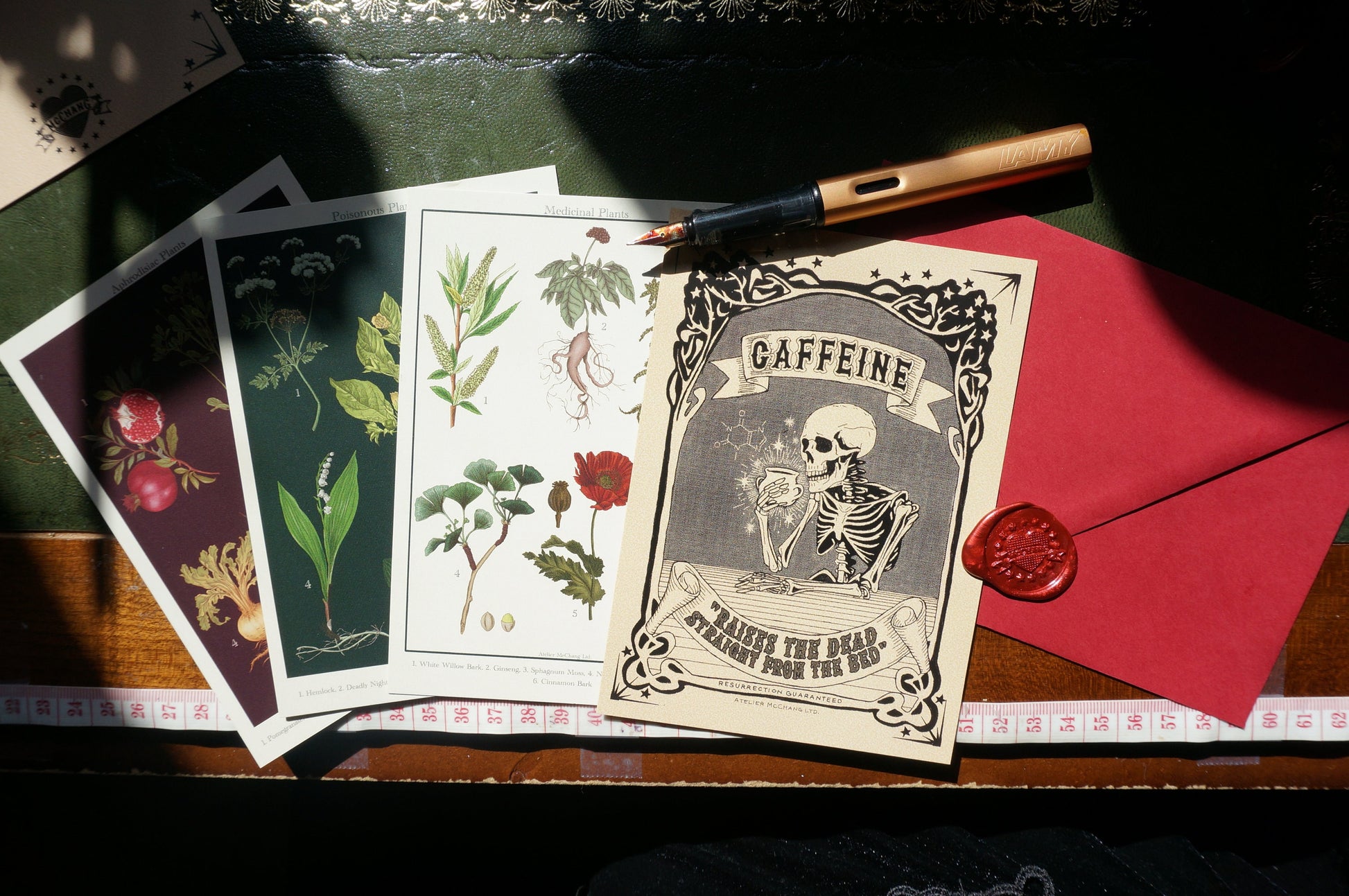 Botanical Postcard / Medicinal Plants Postcard / Poisonous Plants Postcard / Aphrodisiac Postcard / Coffee Postcard / Dark Academia Prints