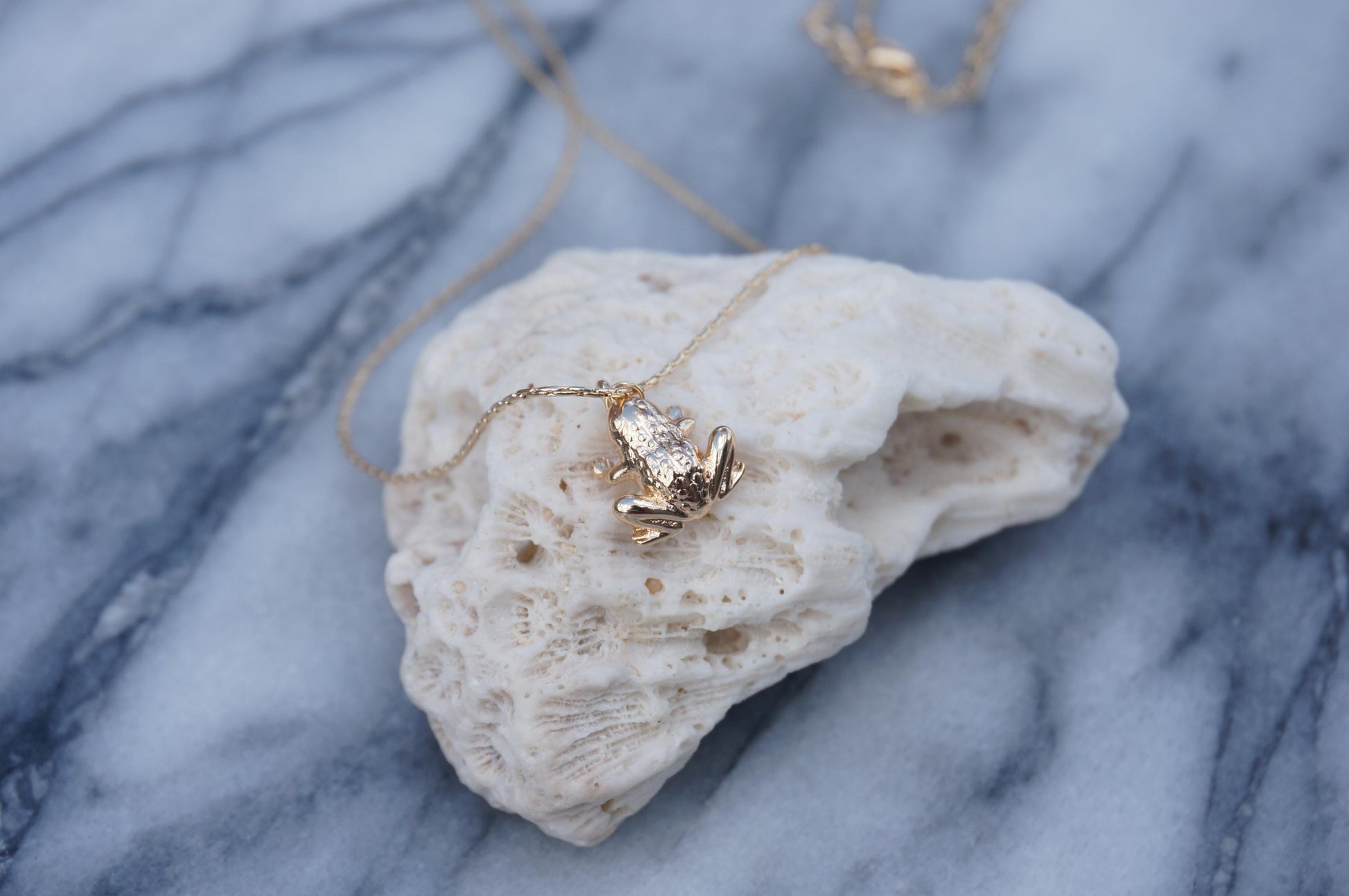 Croaklyn Gold Pendant Necklace