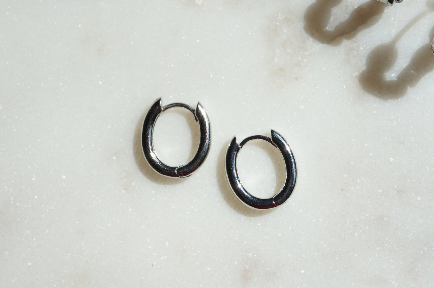 Assorted 18k Platinum Plated Hoop Earrings