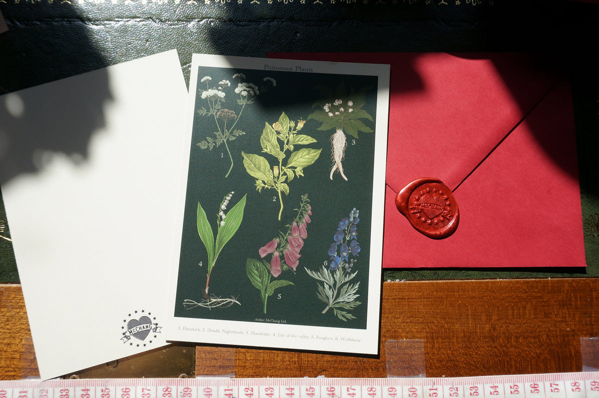 Botanical Postcard / Medicinal Plants Postcard / Poisonous Plants Postcard / Aphrodisiac Postcard / Coffee Postcard / Dark Academia Prints