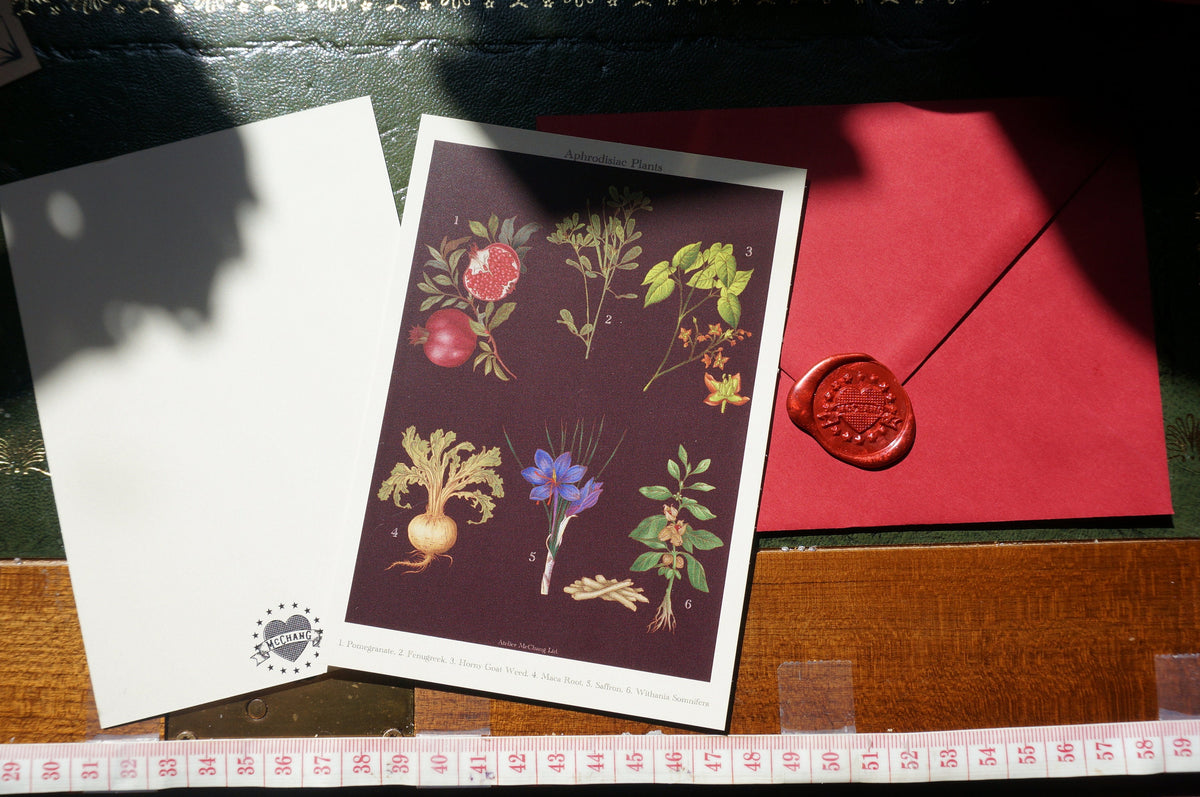 Botanical Postcard / Medicinal Plants Postcard / Poisonous Plants Postcard / Aphrodisiac Postcard / Coffee Postcard / Dark Academia Prints