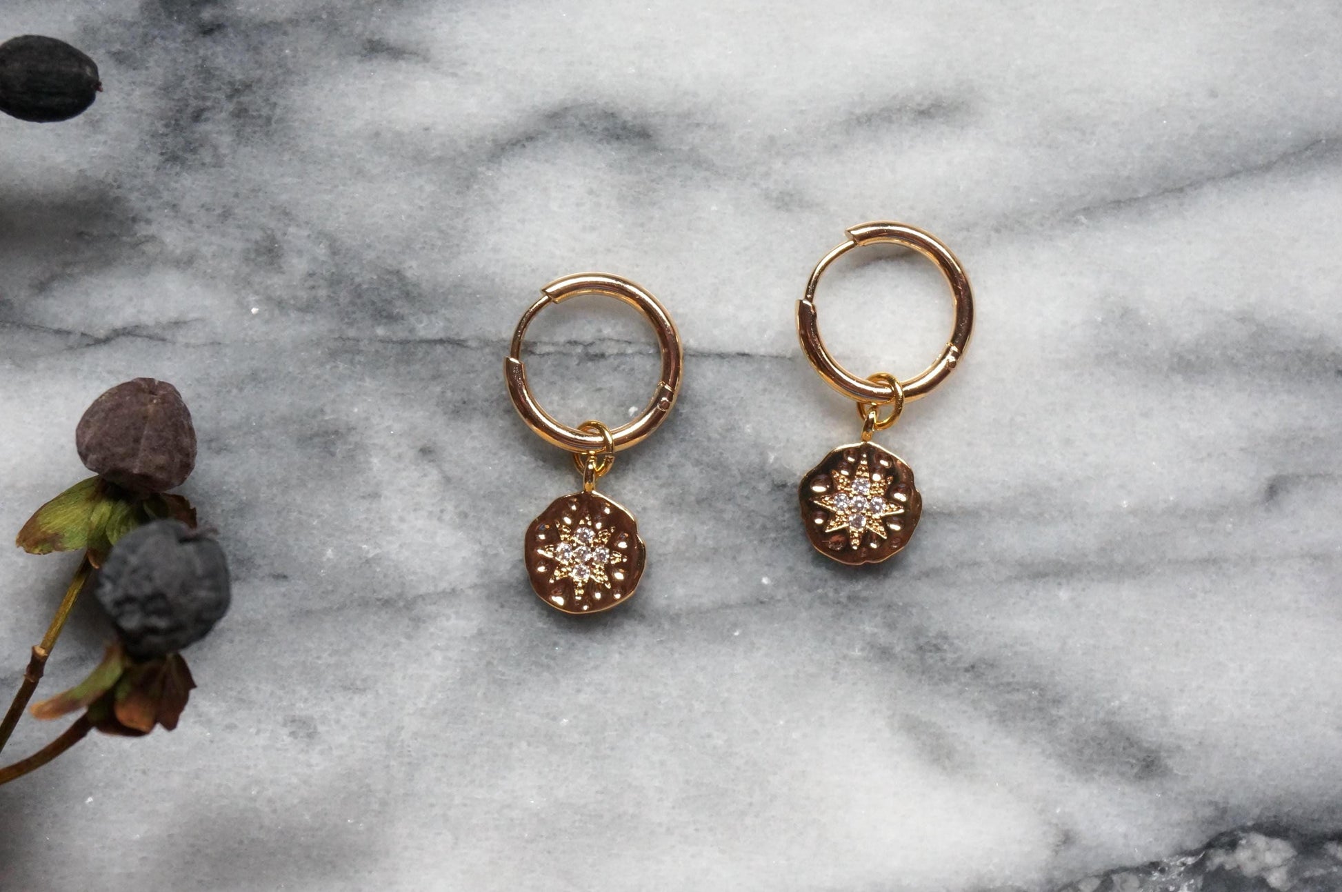 24k Gold Plated North Star Medallion Hoop Earrings
