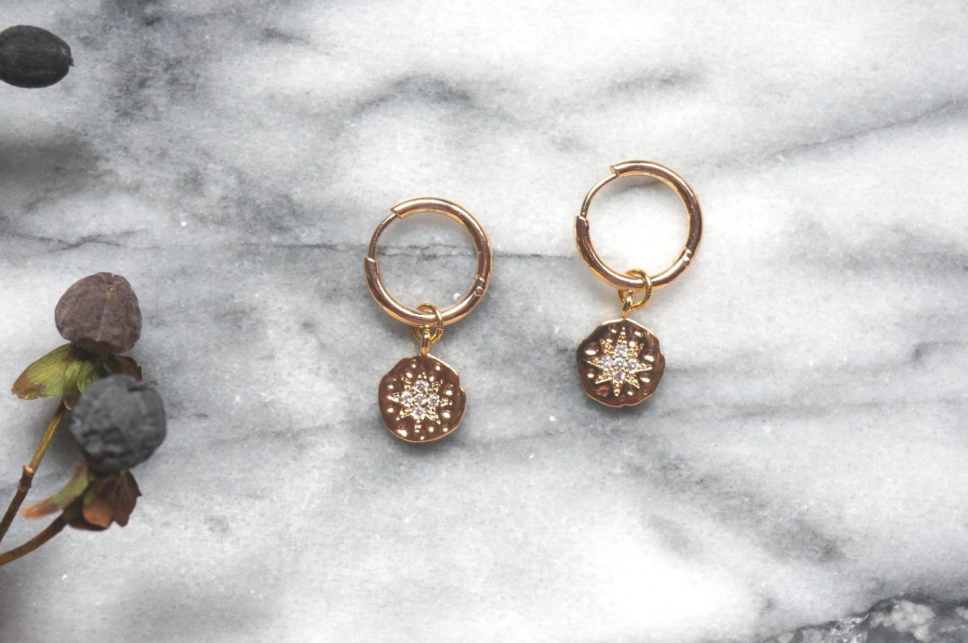 24k Gold /Silver North Star Medallion Hoop Earrings