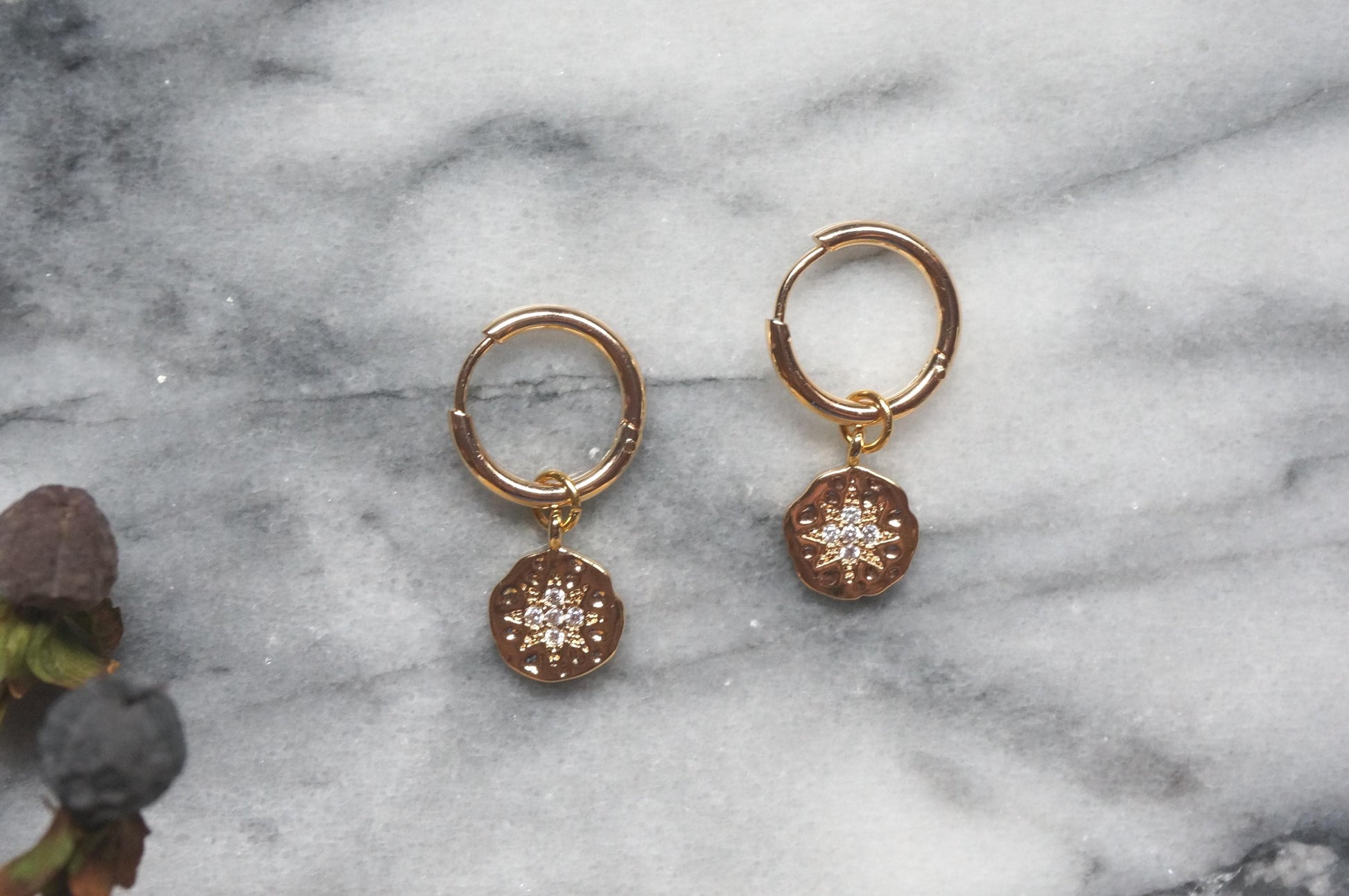 24k Gold /Silver North Star Medallion Hoop Earrings
