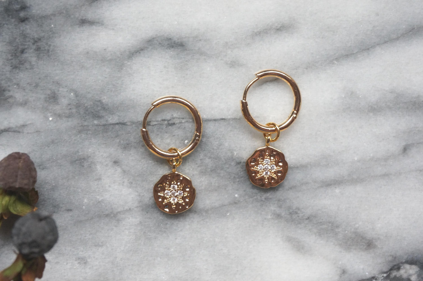 24k Gold /Silver North Star Medallion Hoop Earrings