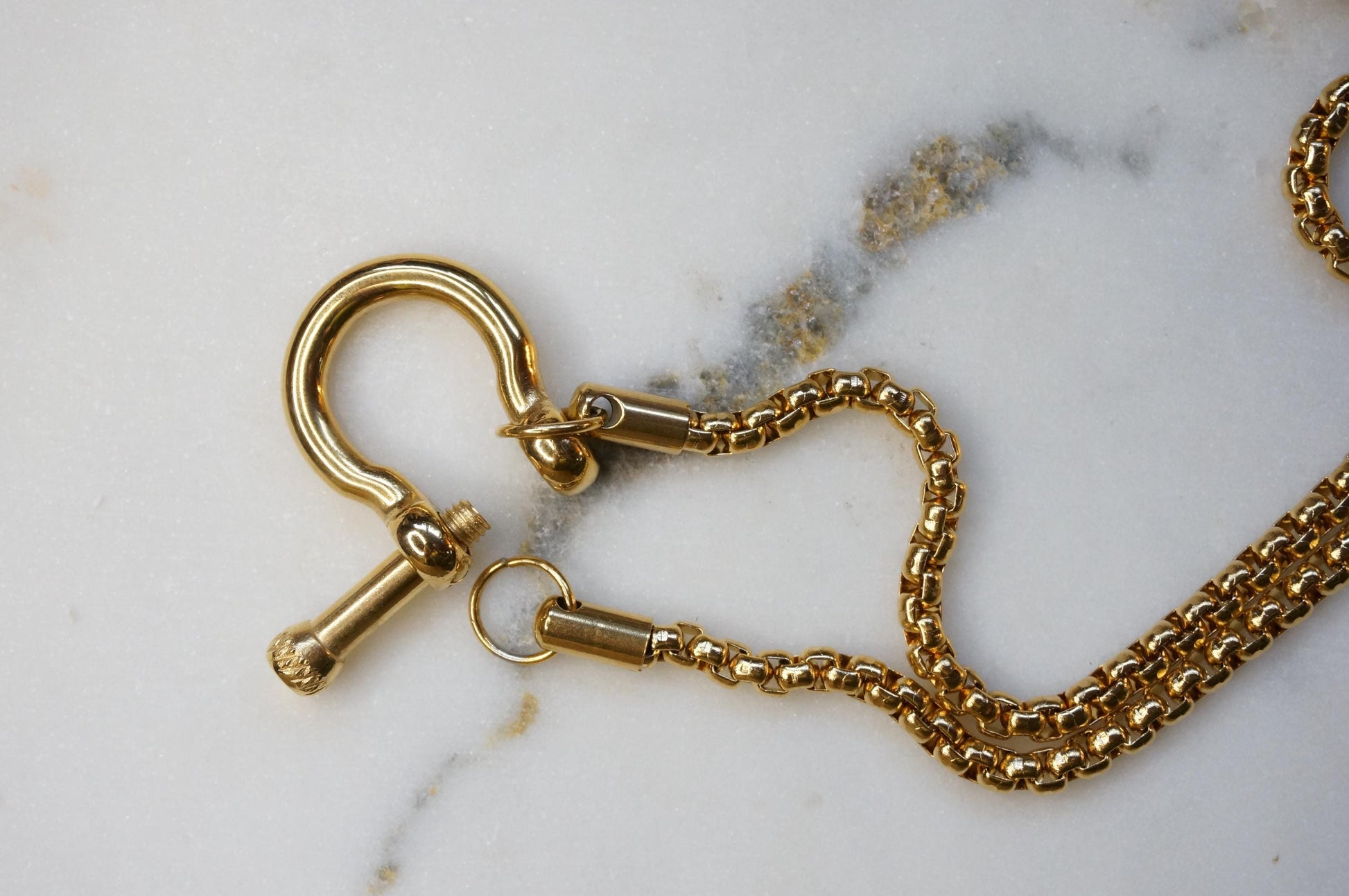 Carabiner Chunky Chain Gold/Silver Hardware Necklace