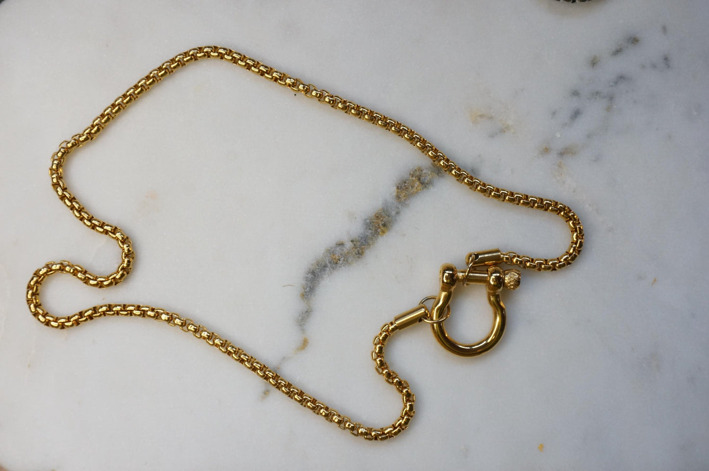 Carabiner Chunky Chain Gold/Silver Hardware Necklace