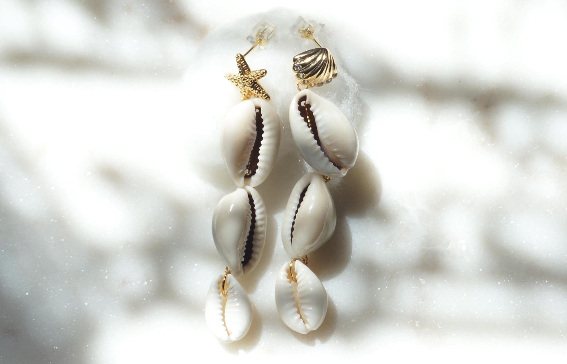 Natural Cowrie Shell Drop Earrings