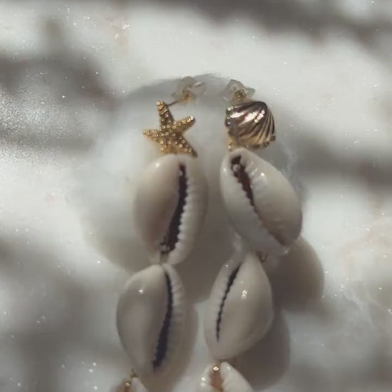Natural Cowrie Shell Drop Earrings