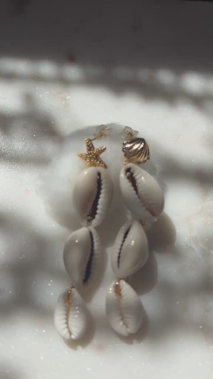 Natural Cowrie Shell Drop Earrings